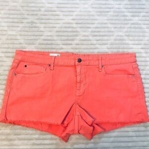 GAP 1969 Coral Bells Summer Cut Off Maddie Shorts Plus Size 33 16
